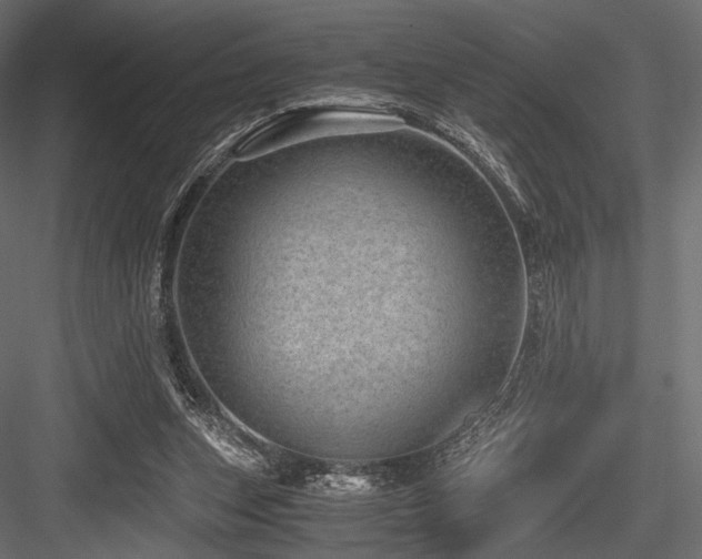 X0000084570159200702231308
