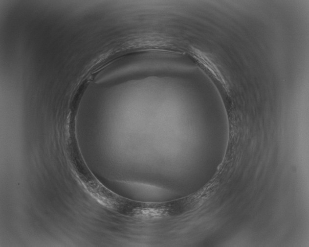 X0000084570163200702231308