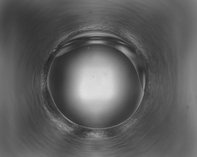 X0000084570164200702231309