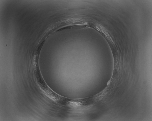 X0000084570167200702231309