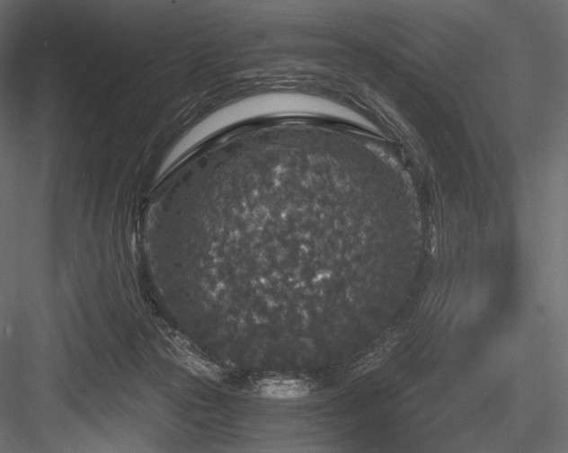 X0000084570169200702231309