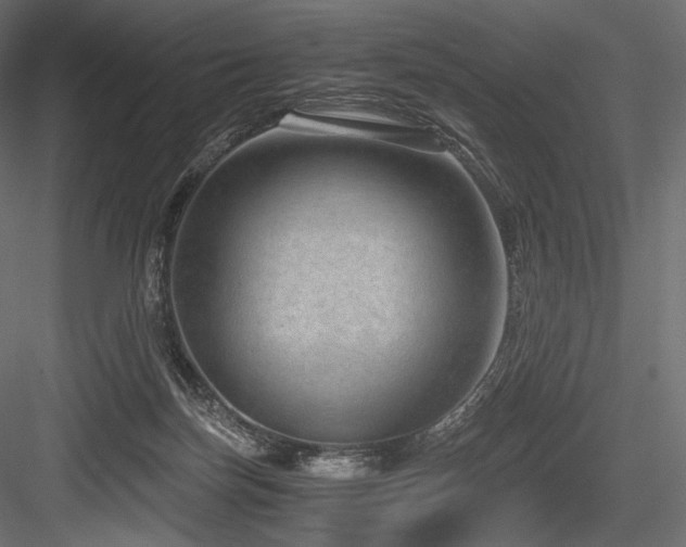 X0000084570171200702231309