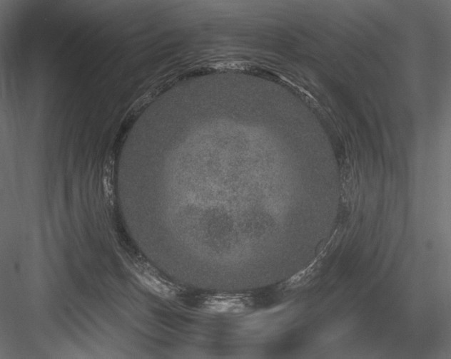 X0000084570175200702231309