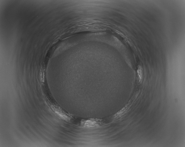 X0000084570180200702231309