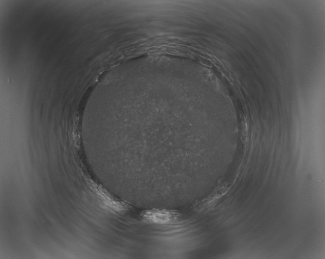 X0000084570181200702231309