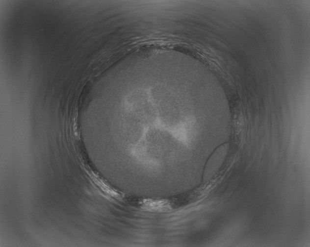 X0000084570185200702231309
