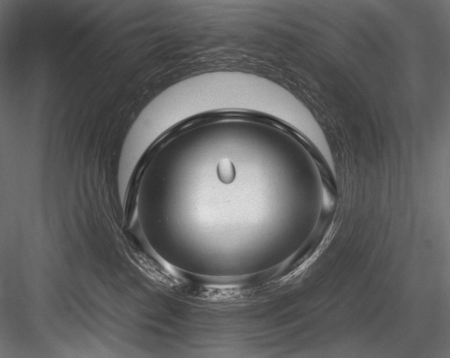 X0000084570186200702231309