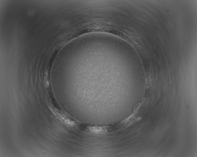 X0000084570187200702231309