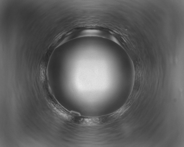 X0000084570188200702231309