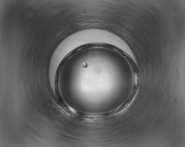 X0000084570190200702231309