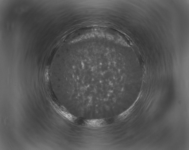 X0000084570191200702231309