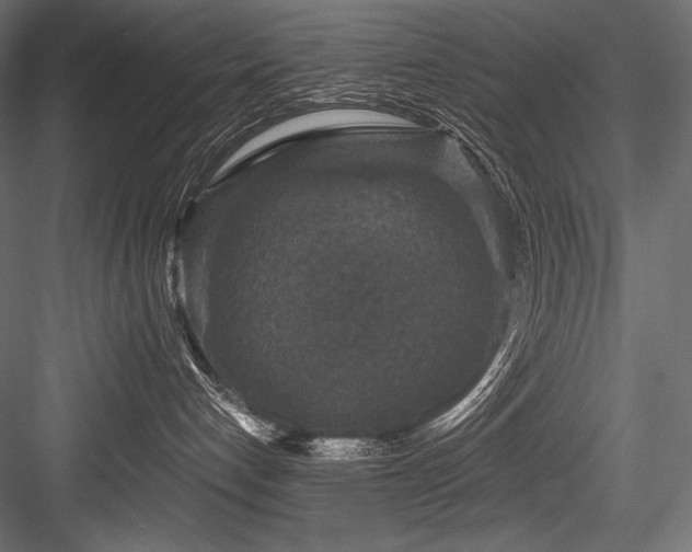 X0000084570192200702231309