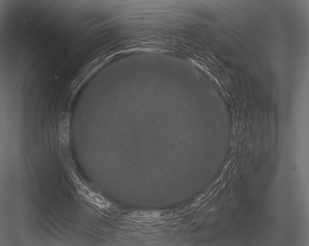 X0000084570194200702231308
