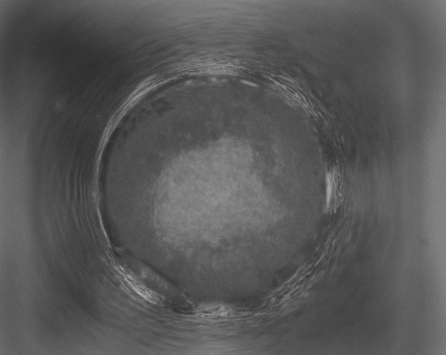 X0000084570195200702231308