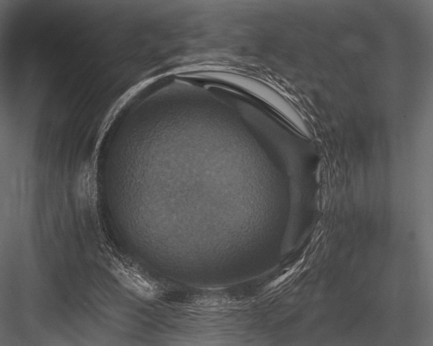 X0000084570200200702231308