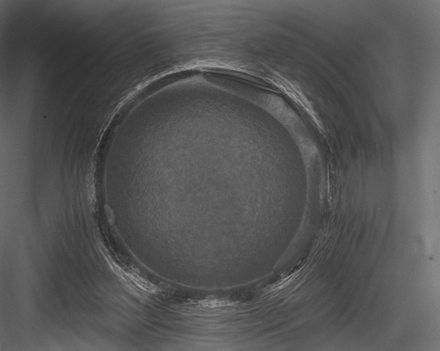 X0000084570204200702231308