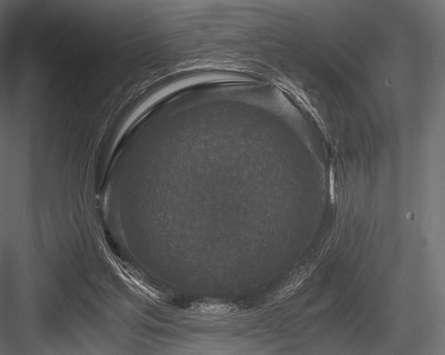 X0000084570205200702231308