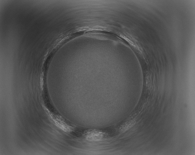 X0000084570206200702231308