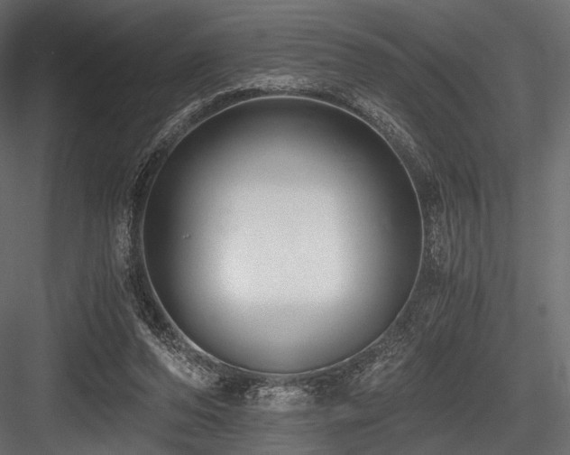 X0000084570208200702231308