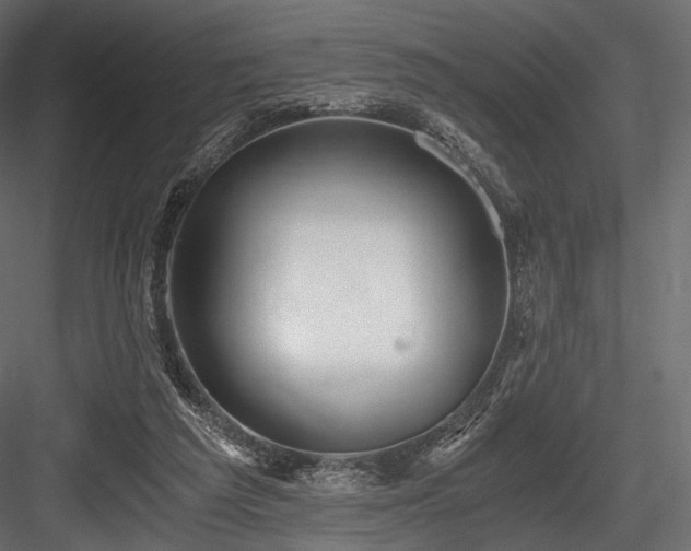 X0000084570209200702231308