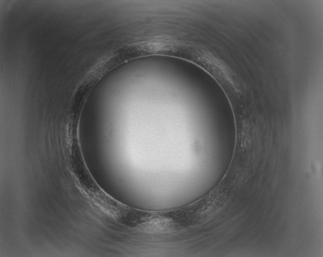X0000084570210200702231308