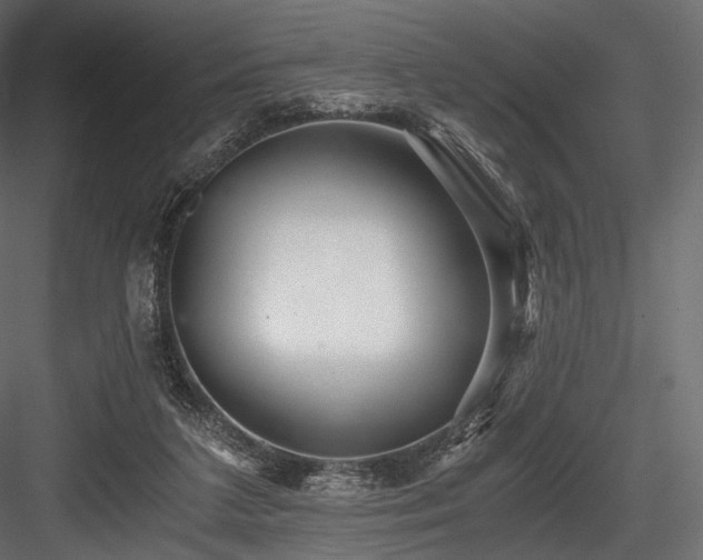X0000084570211200702231308