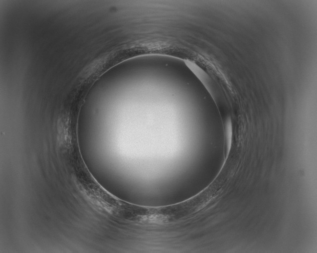 X0000084570212200702231308