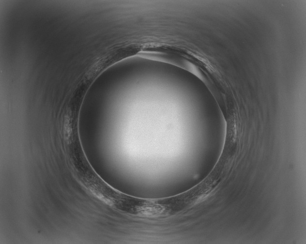 X0000084570215200702231308