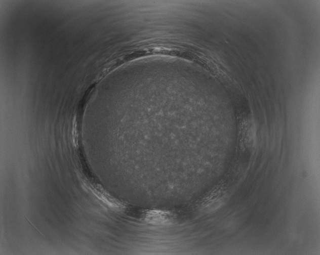 X0000084570222200702231308