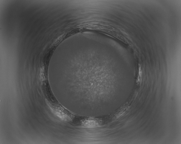 X0000084570224200702231308
