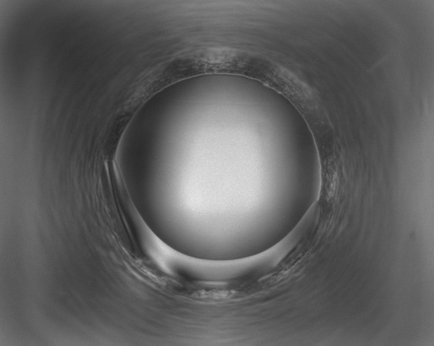X0000084570225200702231308