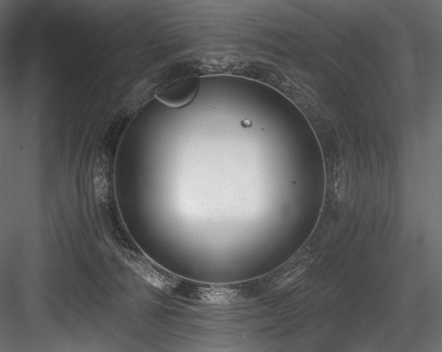 X0000084570226200702231308