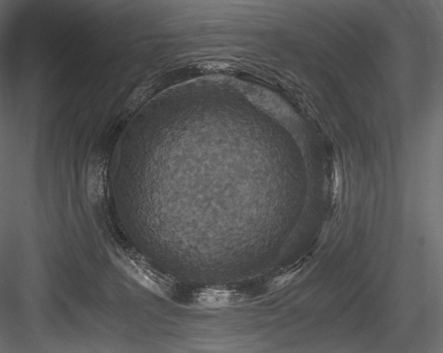X0000084570227200702231308