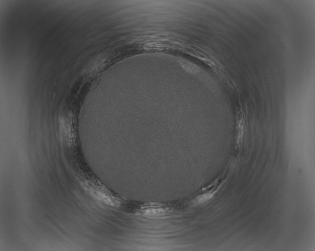 X0000084570228200702231308