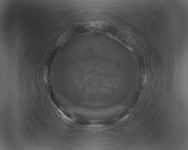 X0000084570231200702231307