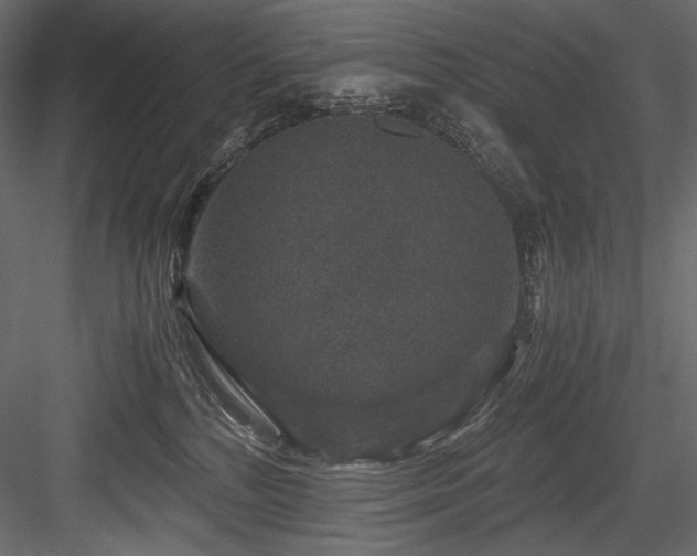 X0000084570232200702231307