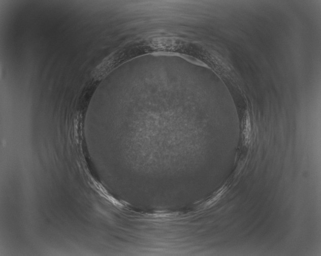 X0000084570233200702231307