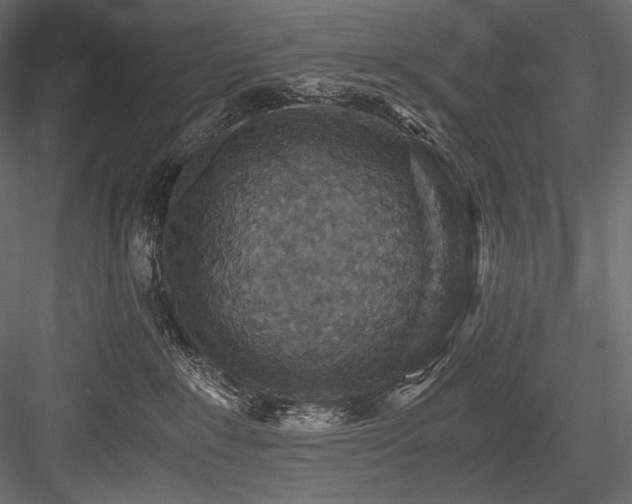 X0000084570235200702231307