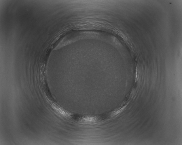 X0000084570237200702231307