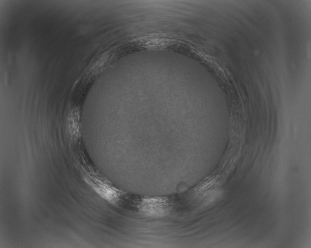 X0000084570240200702231307
