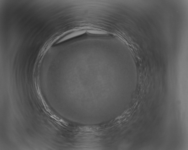X0000084570241200702231307