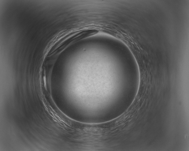 X0000084570242200702231307