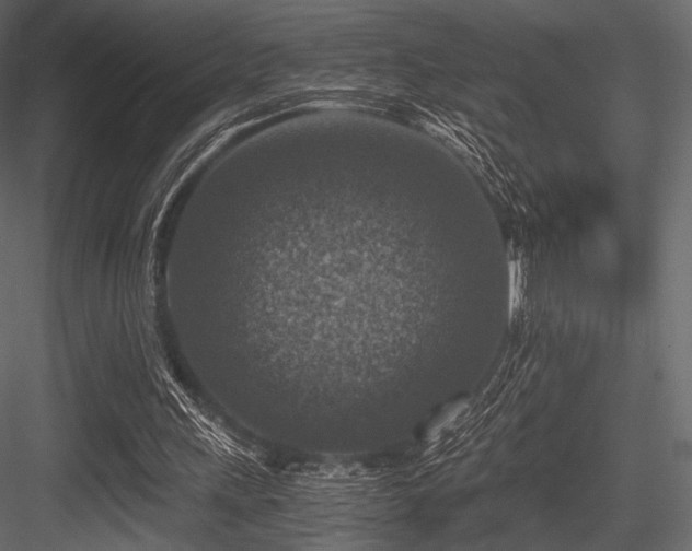 X0000084570243200702231307
