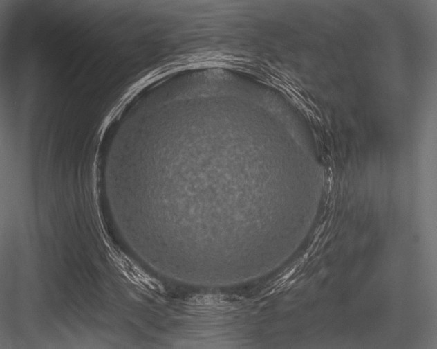 X0000084570244200702231307