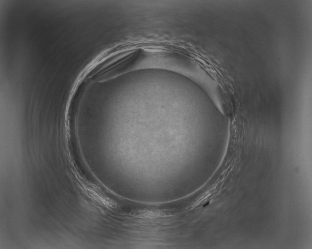 X0000084570246200702231307