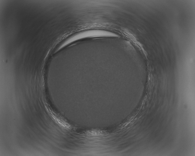 X0000084570250200702231307