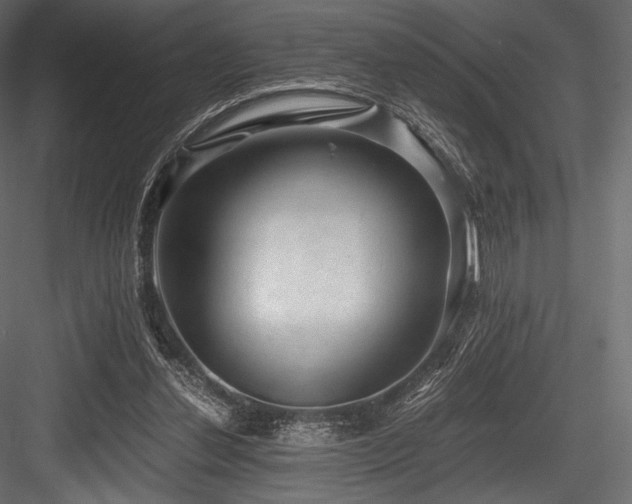 X0000084570252200702231307