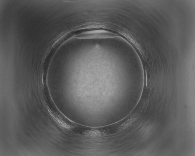 X0000084570253200702231307