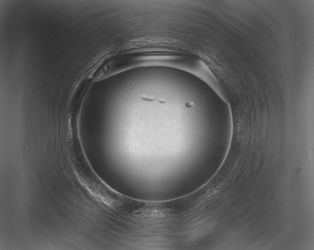 X0000084570254200702231307