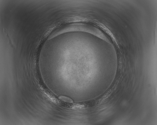 X0000084570257200702231307